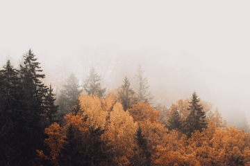 The Autumnal Equinox is upon us, marking the height of fall and the seasonal descent into winter